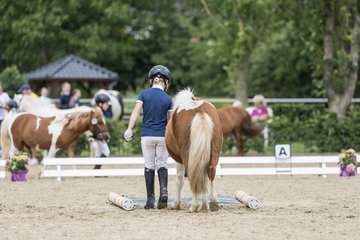 Bild 204 - Pony Akademie Turnier